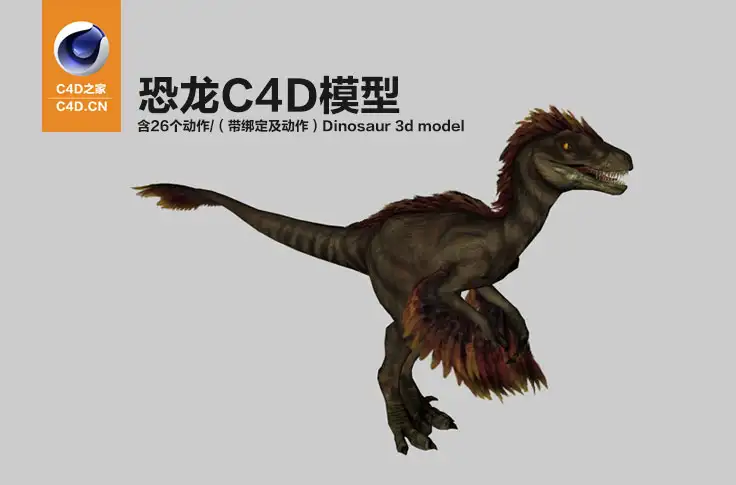 长羽毛的恐龙C4D模型 含26个动作（带绑定及动作）Dinosaur 3d model-raptorFeathered - C4D之家 - cinema4d_-2014-03-16-下午10.49.15.jpg