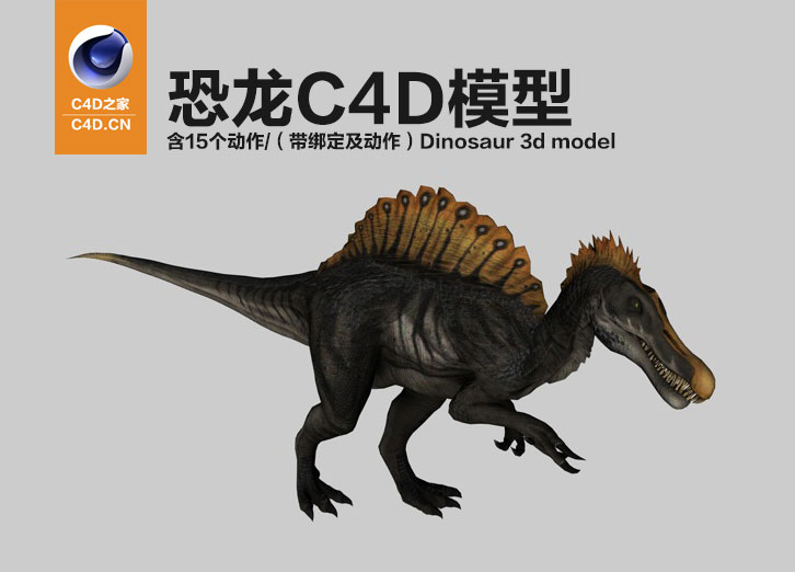恐龙C4D模型（含15个动作）均带绑定Dinosaur 3d model-spino