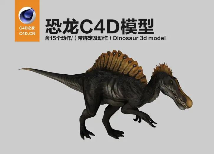 恐龙C4D模型（含15个动作）均带绑定Dinosaur 3d model-spino - C4D之家 - cinema4d_-2014-03-16-下午10.52.55.jpg