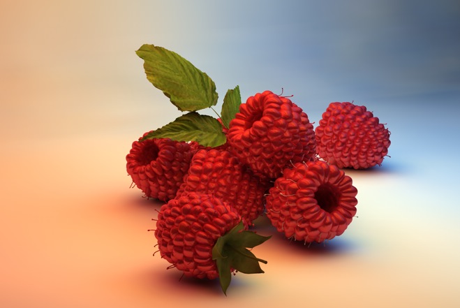 树莓 杨莓3D模型 Red bayberry 3dmodels