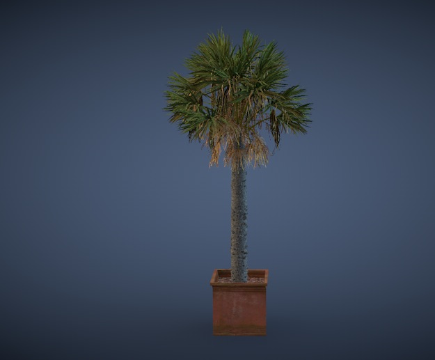 大型盆景植物3D模型 Potted plants of 3D model - C4D之家 - cinema4d_ 2014-03-19 下午6.55.16.jpg