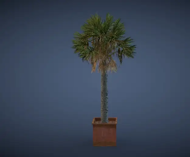 大型盆景植物3D模型 Potted plants of 3D model - C4D之家 - cinema4d_ 2014-03-19 下午6.55.16.jpg