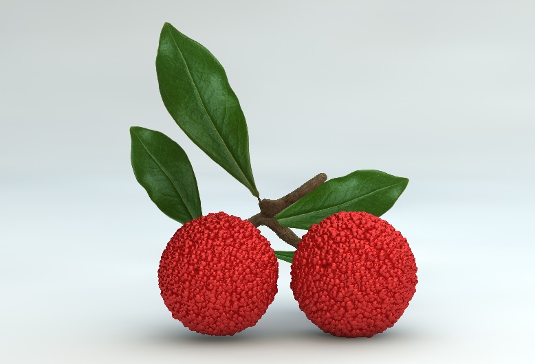梅子 杨梅3D模型 Bayberry 3d model - C4D之家 - cinema4d_ 2014-03-19 下午11.14.23.jpg