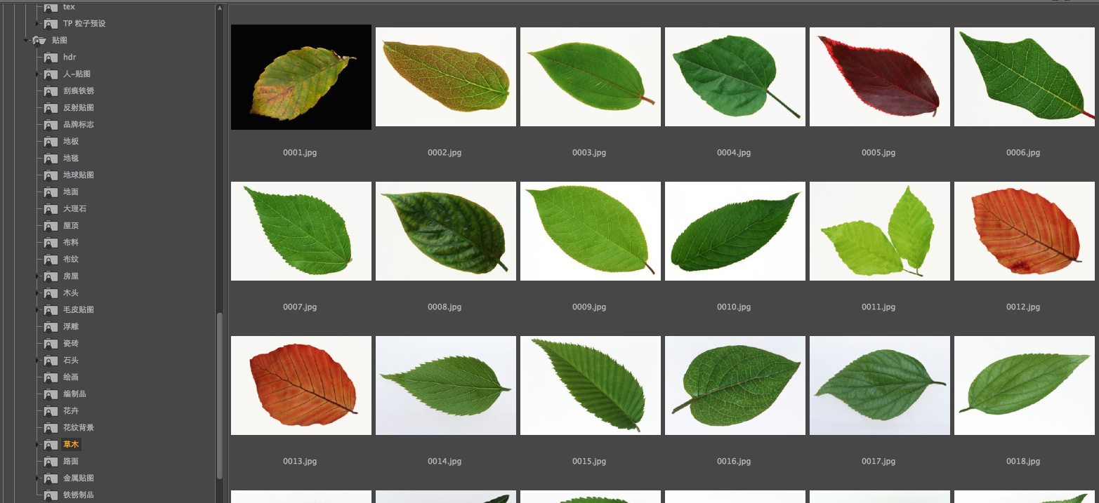 菜鸟C4D预设包（lib4d）含大量贴图、TP粒子预设等 - C4D之家 - cinema4d_ 2014-03-21 下午8.46.24.jpg