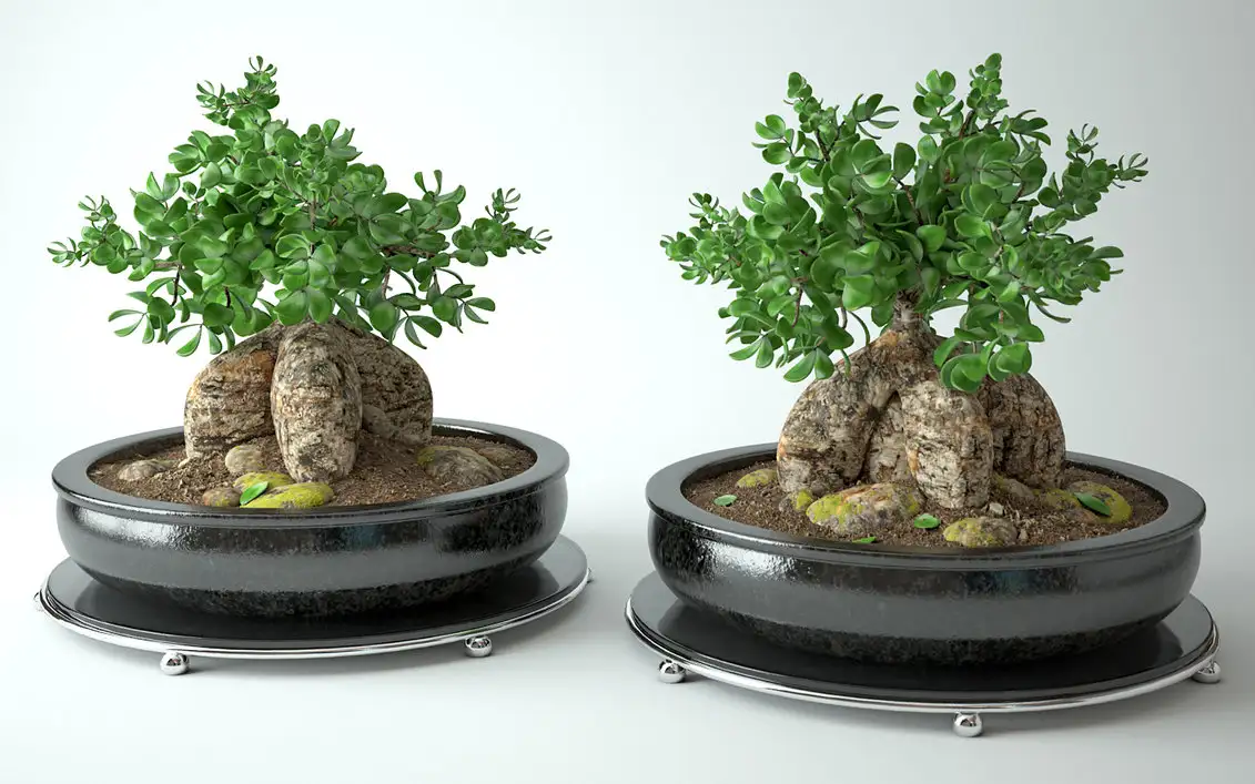 3D渲染的盆景 Bonsai tree - C4D之家 - model_3d___bonsai_tree_by_marcing1-d61ujjg.jpg