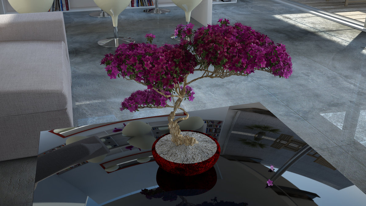 C4D室内花卉艺术渲染作品 Home Bonsai - C4D之家 - home_bonsai_by_krypt06-d6nxqzc.jpg