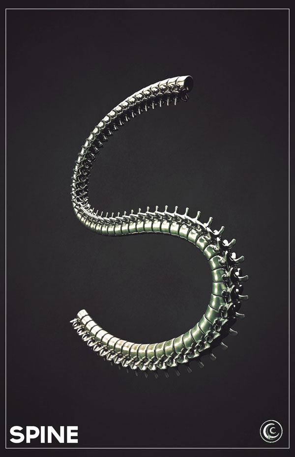 C4D创意字母教程-S（含工程文件） Spine - C4D之家 - S.jpg