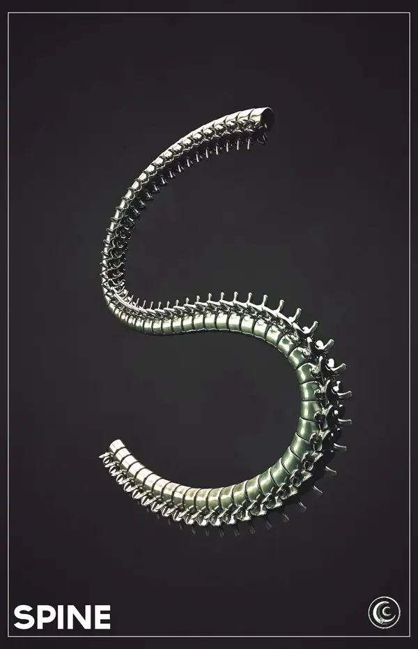 C4D创意字母教程-S（含工程文件） Spine - C4D之家 - S.jpg