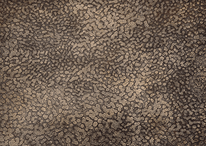 几张很牛的金属贴图 - C4D之家 - 20092139113089.gif