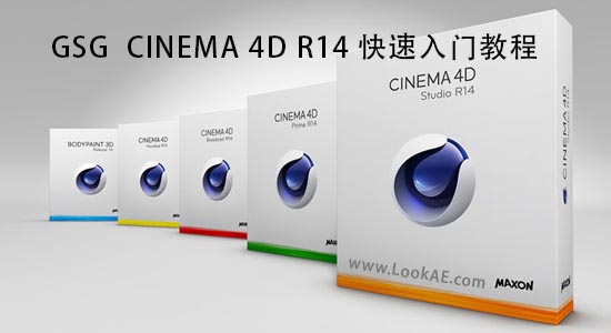 风影CG翻译：灰猩猩GSG CINEMA 4D R14快速入门教程