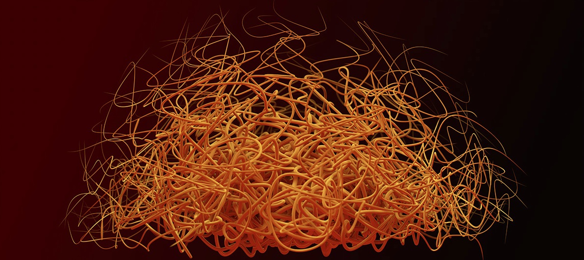 C4D R15参数随机样条曲线生成插件 Umami v.1.0