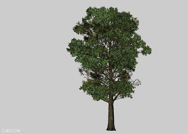 190个C4D建筑模型合集预设（房屋、树木、植物盆景） - C4D之家 - cinema4d_-2014-04-21-下午3.35.24.jpg