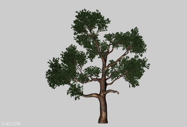 190个C4D建筑模型合集预设（房屋、树木、植物盆景） - C4D之家 - cinema4d_-2014-04-21-下午3.36.09.jpg