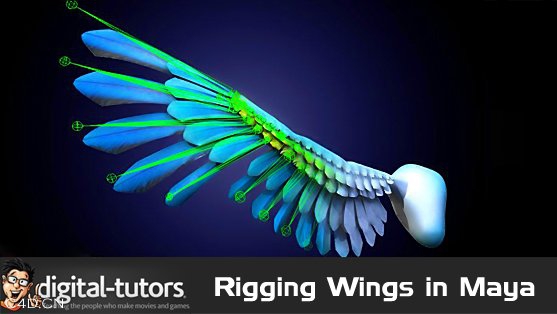 Rigging Wings in CINEMA 4D翅膀绑定教程 - C4D之家 - 1308841005_digital-tutors-rigging-wings-in-maya.jpg