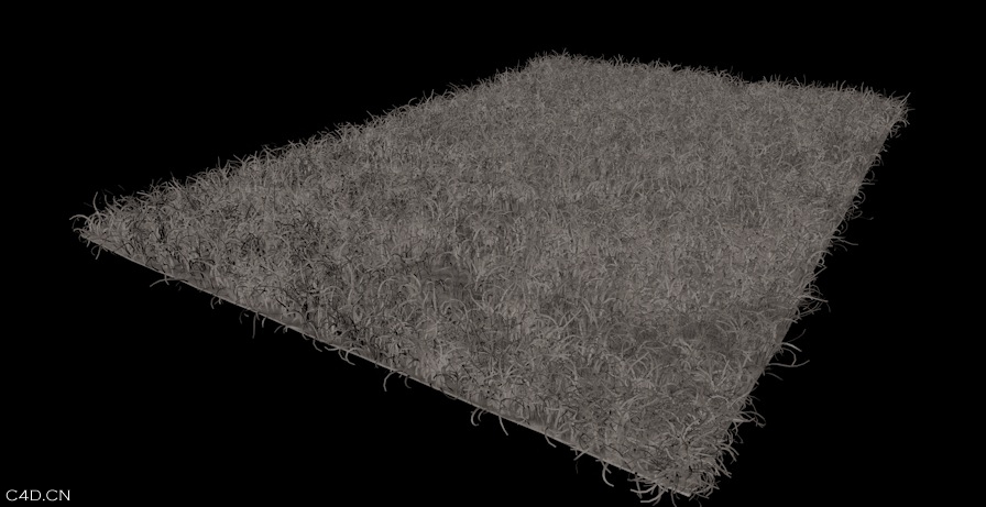 地毯C4D模型 carpet（含毛发及实体模型） - C4D之家 - cinema4d_ 2014-05-10 下午8.12.29.jpg