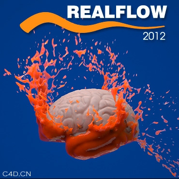 realflow 2012汉化版 无限机可用（非一码一机）