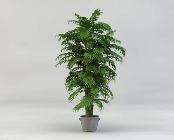 盆景植物C4D模型 Bonsai plants 3d model - C4D之家 - cinema4d_ 2014-05-19 下午4.36.57.jpg