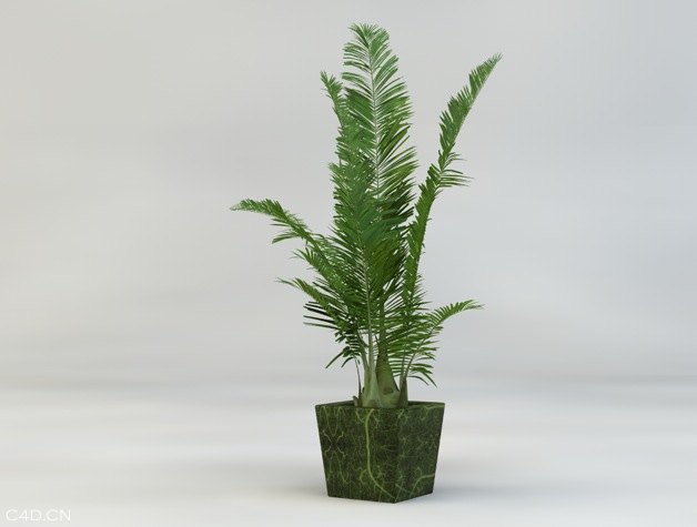 室内盆景装饰植物C4D模型 Bonsai plants 3d model - C4D之家 - cinema4d_ 2014-05-19 下午4.58.39.jpg