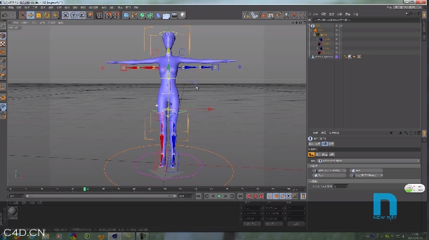 新线中视 free教程 c4d骨骼绑定系列 - C4D之家 - QQ截图20140520092533.jpg