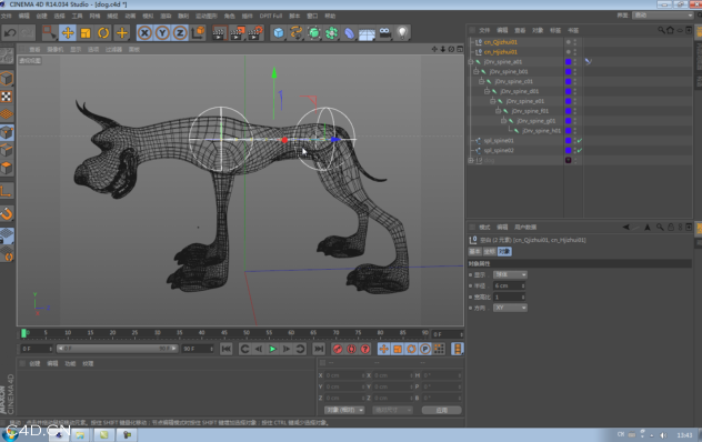 新线中视 c4dfree教程 骨骼绑定系列三 狗狗脊椎部分01 - C4D之家 - QQ截图20140523092639.png
