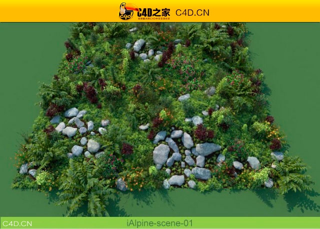 阿尔卑斯山植物和石头模型包R&D Group – iAlpine for MultiScatter - C4D之家 - medish-2.jpg
