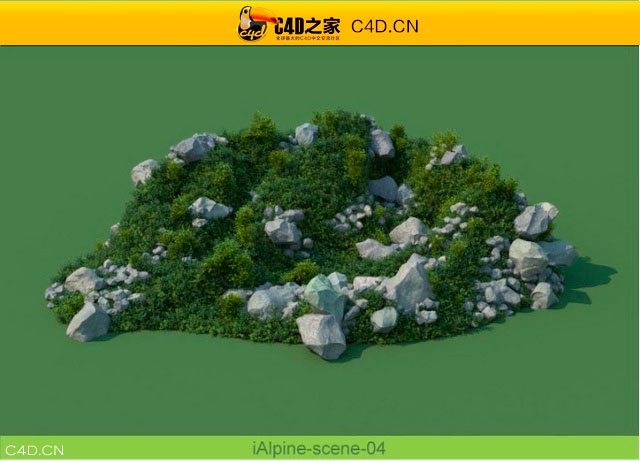 阿尔卑斯山植物和石头模型包R&D Group – iAlpine for MultiScatter - C4D之家 - medish-1.jpg