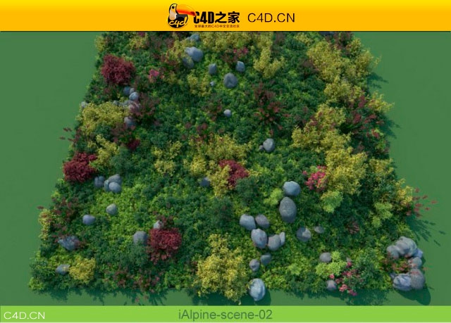 阿尔卑斯山植物和石头模型包R&D Group – iAlpine for MultiScatter - C4D之家 - medish-3.jpg