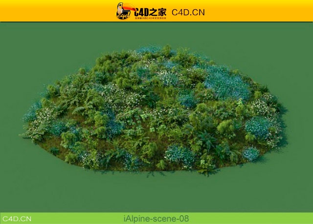 阿尔卑斯山植物和石头模型包R&D Group – iAlpine for MultiScatter - C4D之家 - medish-4.jpg