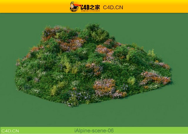 阿尔卑斯山植物和石头模型包R&D Group – iAlpine for MultiScatter - C4D之家 - medish-5.jpg