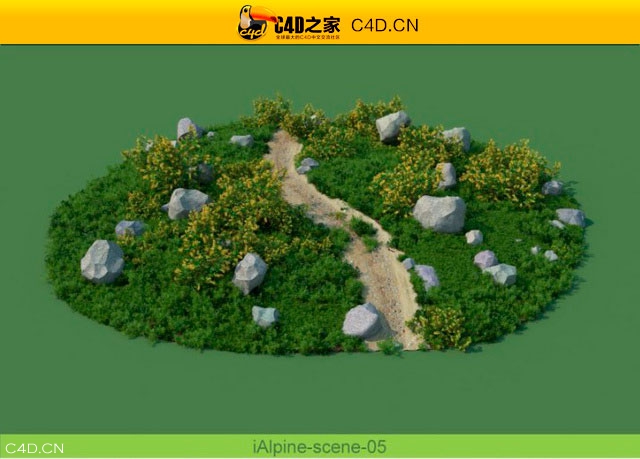 阿尔卑斯山植物和石头模型包R&D Group – iAlpine for MultiScatter - C4D之家 - medish-6.jpg