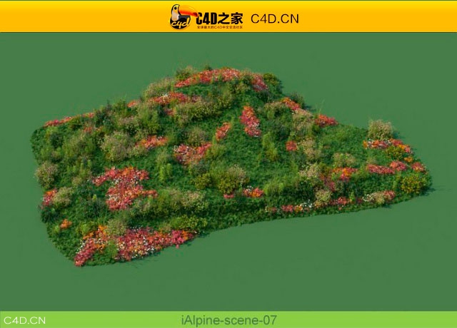 阿尔卑斯山植物和石头模型包R&D Group – iAlpine for MultiScatter - C4D之家 - medish-7.jpg