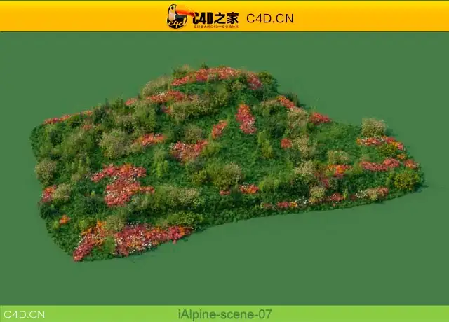 阿尔卑斯山植物和石头模型包R&D Group – iAlpine for MultiScatter - C4D之家 - medish-7.jpg