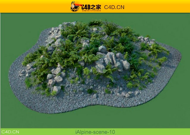阿尔卑斯山植物和石头模型包R&D Group – iAlpine for MultiScatter - C4D之家 - medish-8.jpg