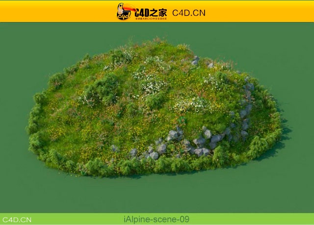 阿尔卑斯山植物和石头模型包R&D Group – iAlpine for MultiScatter - C4D之家 - medish-9.jpg