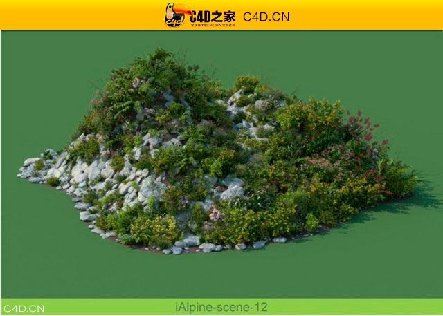阿尔卑斯山植物和石头模型包R&D Group – iAlpine for MultiScatter - C4D之家 - medish-10.jpg
