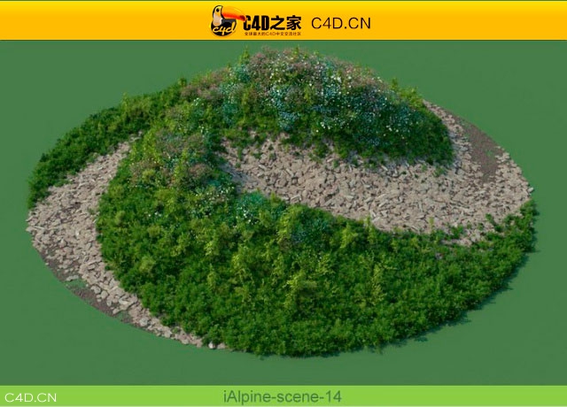 阿尔卑斯山植物和石头模型包R&D Group – iAlpine for MultiScatter - C4D之家 - medish-12.jpg