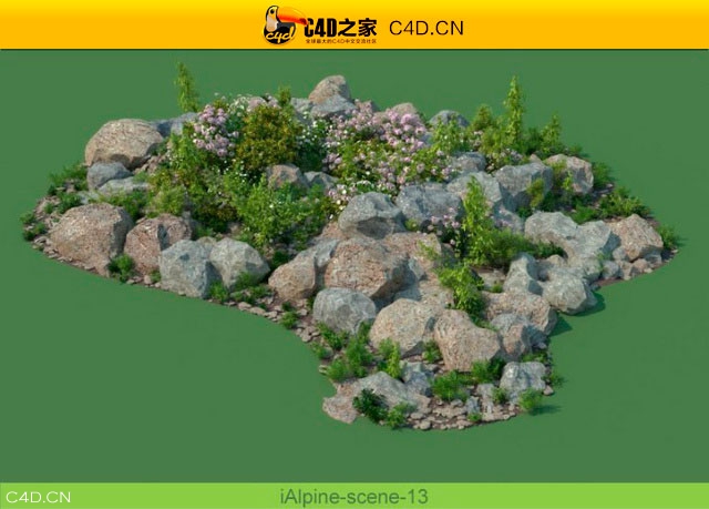 阿尔卑斯山植物和石头模型包R&D Group – iAlpine for MultiScatter - C4D之家 - medish-13.jpg