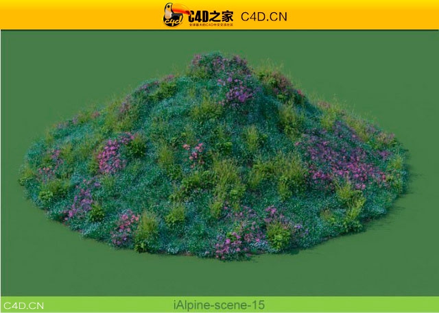 阿尔卑斯山植物和石头模型包R&D Group – iAlpine for MultiScatter - C4D之家 - medish-14.jpg