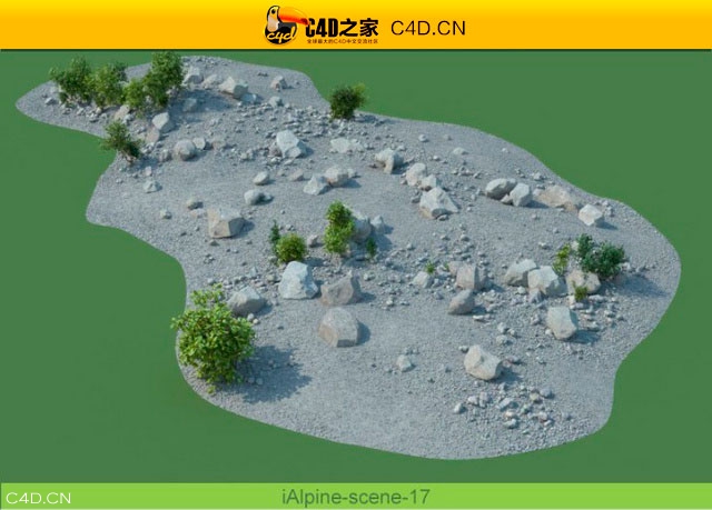 阿尔卑斯山植物和石头模型包R&D Group – iAlpine for MultiScatter - C4D之家 - medish-16.jpg