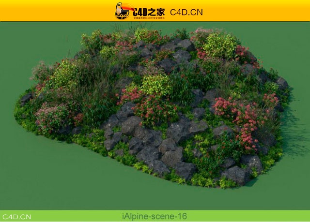 阿尔卑斯山植物和石头模型包R&D Group – iAlpine for MultiScatter - C4D之家 - medish-15.jpg