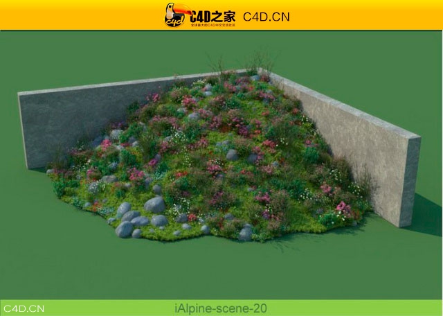 阿尔卑斯山植物和石头模型包R&D Group – iAlpine for MultiScatter - C4D之家 - medish-18.jpg