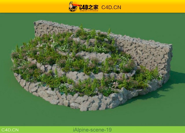 阿尔卑斯山植物和石头模型包R&D Group – iAlpine for MultiScatter - C4D之家 - medish-19.jpg