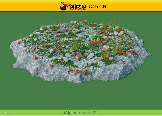 阿尔卑斯山植物和石头模型包R&D Group – iAlpine for MultiScatter - C4D之家 - medish-20.jpg