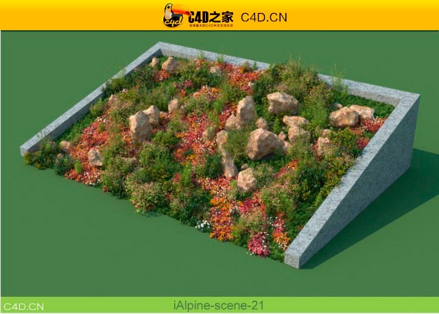 阿尔卑斯山植物和石头模型包R&D Group – iAlpine for MultiScatter - C4D之家 - medish-21.jpg