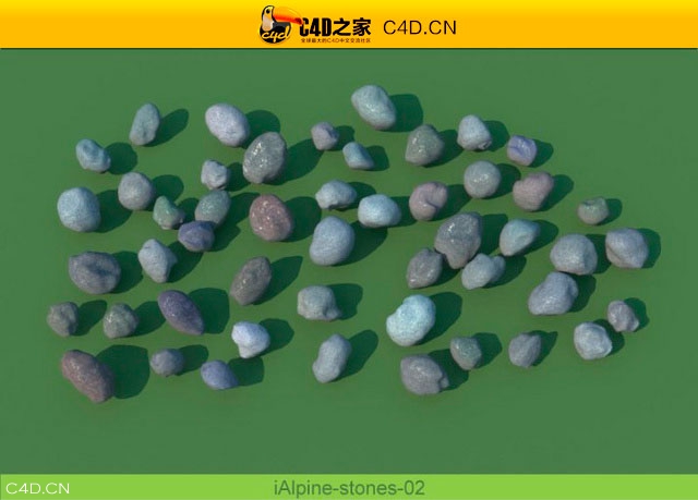 阿尔卑斯山植物和石头模型包R&D Group – iAlpine for MultiScatter - C4D之家 - medish-22.jpg