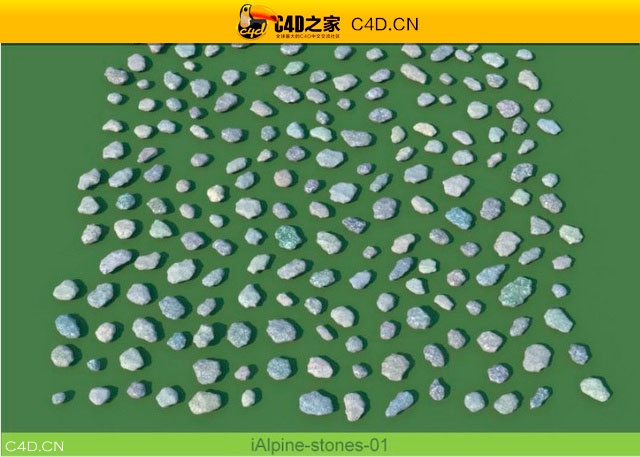 阿尔卑斯山植物和石头模型包R&D Group – iAlpine for MultiScatter - C4D之家 - medish-23.jpg