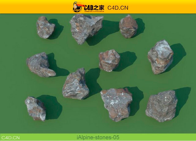 阿尔卑斯山植物和石头模型包R&D Group – iAlpine for MultiScatter - C4D之家 - medish-25.jpg