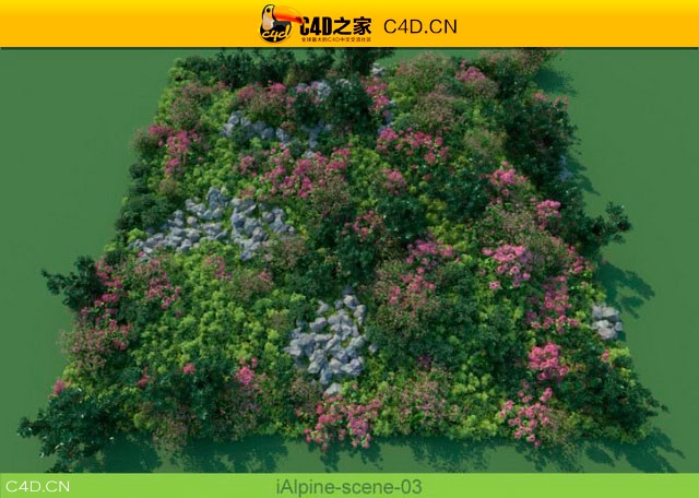 阿尔卑斯山植物和石头模型包R&D Group – iAlpine for MultiScatter - C4D之家 - medish.jpg