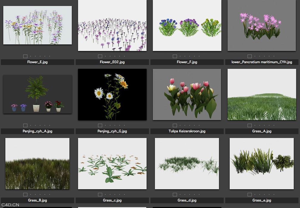 3D模型合集包（花卉、人物、树木、家具） - C4D之家 - cinema4d_ 2014-05-24 下午11.34.35.jpg