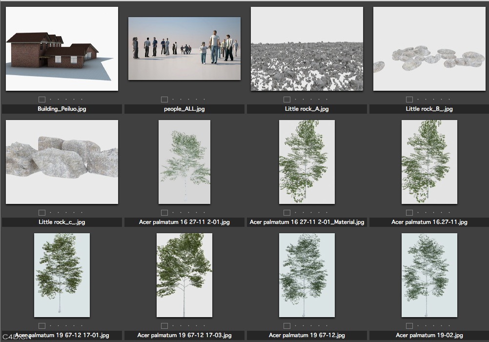 3D模型合集包（花卉、人物、树木、家具） - C4D之家 - cinema4d_ 2014-05-24 下午11.34.48.jpg